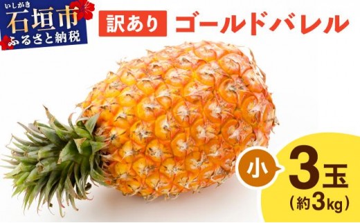 【沖縄県石垣市】≪5月上旬順次発送≫ 訳あり ゴールドバレル 小 3玉(約3kg) TP-18