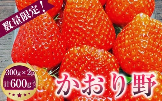 y錧Ⓦszs\mⓌsYn@300g×2pbN@v600gȏ@̂蒼 ^  C`S   t[c ʕ 錧 Yi No.268