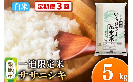 y{錧Iszs3tyāzߘa7NY ꔗ TTjVL 5kg