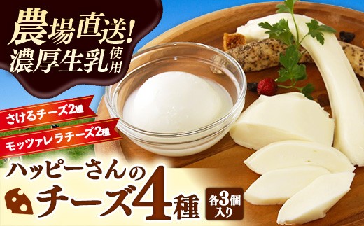 y茧蒬znbs[̃`[Y4Zbge3 `[Y bc@ `[Y   ܂ [ i    Y Y`[Y Hה Zbg l lߍ킹