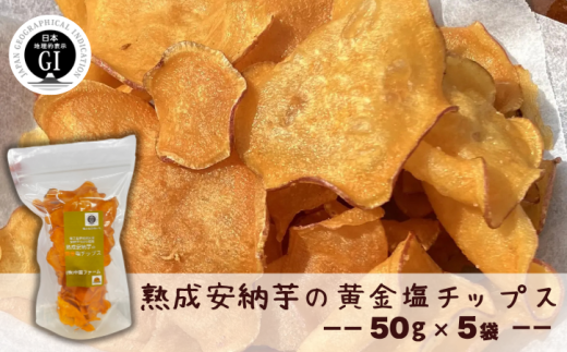 種子島 中園ファーム 熟成 安納芋 の 黄金 塩 チップス 50g×5袋 NFN632