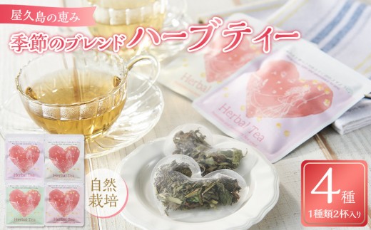 屋久島の祝福 季節のブレンドハーブティー4種 自然栽培 Blessings of