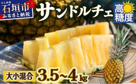 先行予約】《2025年夏季 順次発送》【訳あり】石垣島産 サンドルチェ