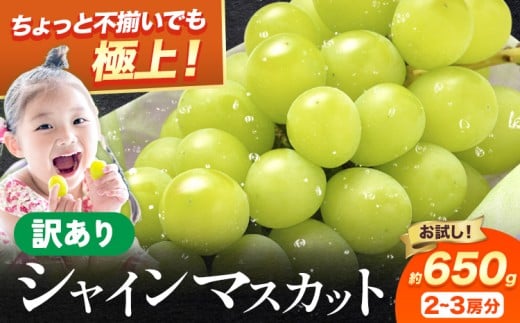 y{HgszVC 󂠂 VC}XJbg 650g s2026N8{-8{oׁt󂠂 VC}XJbg }XJbg Ԃǂ t[c ʕ { Hgs VC H