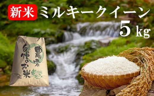 yRxm쒬zyʌzyRYzsVāt~L[NC[ T@   FʑI CX R ܂Ȃ xm쒬