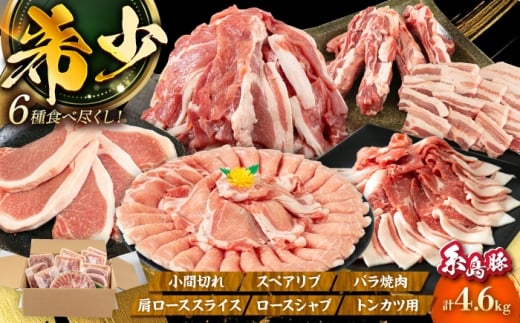 yszv4.6kgI Hאs Zbg ( Ƃ񂩂 / [X / Ԃ / ؃o / XyAu / Ԑ؂ )  / g~[gZ^[ [AJD005] Y ؓ Ƃ񂩂