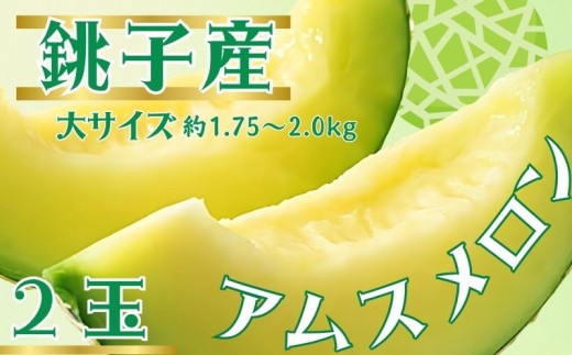 ytqsz qY AXI 2 TCY  (1ʖ1.75?2.0kg)  핺q̃AX  Ƃ16  ʕ t[c Mtg v[g  蕨  fU[g