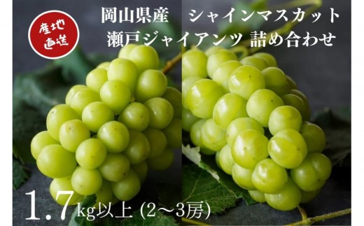 yRRszI VC}XJbgE˃WCAc 2`3[ v1.7kgȏ l Yn ̂ Ԃǂ  Kawahara Green Farm RY 2026N | t[c ʕ  I  VC