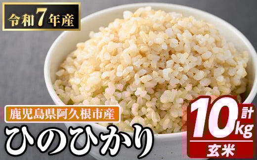 yvszY̌ Ђ̂Ђ(v10kgE5kg×2) Y  А   ɂ ٓ Ђ̂ЂyJt@[zakn064-09