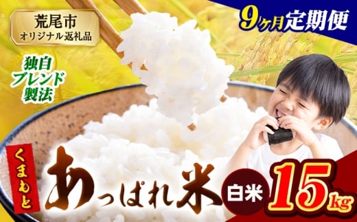 yF{rszy9ցzF{Y ܂Ƃς  uh 15kg F{Y ӂ邳Ɣ[     ӂ邳Ƃ̂ R  ߁s1o׊Jnt