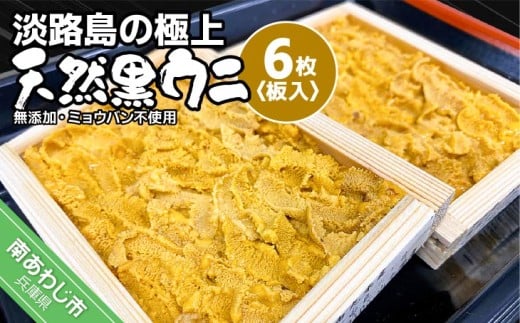【兵庫県南あわじ市】★予約受付★【無添加・ミョウバン不使用・期間/数量限定】淡路島の極上ウニ!天然黒ウニ(板入6枚)◆3月中旬以降発送開始