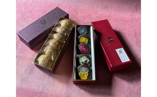 yVsz傱 ECHIGOLԃVR`RZbg َq َq XC[c  1Z64015