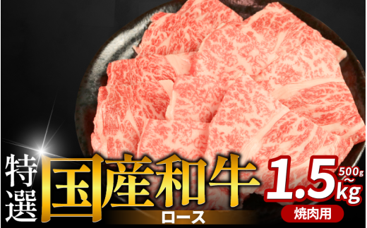 ygsz I [X ēp 500g 1kg 1.5kg ׂe ē Ya a Ă Ԑg ɂ イ  o[xL[ BBQ ₫ɂ j Cxg p[eB[  