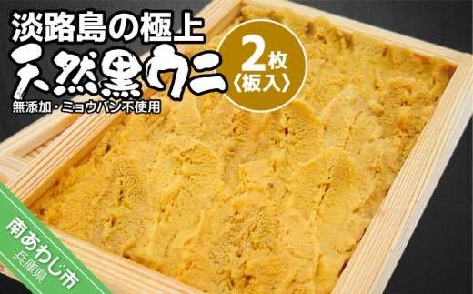 【兵庫県南あわじ市】★予約受付★【無添加・ミョウバン不使用・期間/数量限定】淡路島の極上ウニ!天然黒ウニ(板入2枚)◆3月中旬以降発送開始