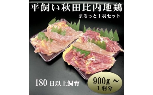 yHc\szʌ Hcn{ ܂1HZbg 900g`   lߍ킹  n{ { 1H     ނ˓  Hc \s