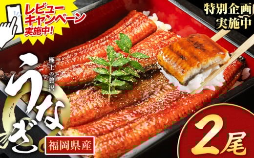 yƎ蒬zr[Ly[{I Ȃ V ƒp  2 (TCYsIʁF1140g-180g) Y V̊Ă ʌ HOMIEs1{-1oׁt Ǝ