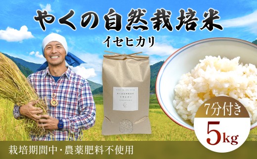 ys{mRszߘa7NY ₭̎R͔| CZqJ 5kg  i7Âj / R͔| R͔|  R    CZqJ Ђ  ͂ ₭ v s{ 