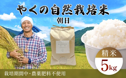 ys{mRszߘa7NY ₭̎R͔|  5kg  iāj / R͔| R͔|  R    CZqJ Ђ  ͂ ₭ v s{ mRs FCEV