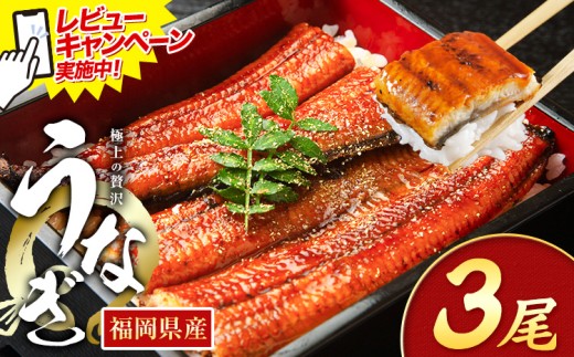 yƎ蒬zr[Ly[{I Ȃ V ƒp  3 (TCYsIʁF1140g-180g) Y V̊Ă ʌ HOMIEs1{-1oׁt Ǝ