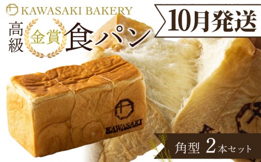 y{Lˎsz10yYgpzܐHp p^ 2{Zbg