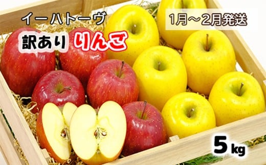 y茧ԊszC[ng[ A  TZbgs2026N1蔭\/\tt y280-1z