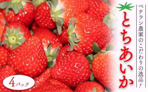 yȖ،F꒬zxe_Ƃ̂̈iIƂ 4pbNb C`S  t[c ʕ Yn Ԍ Gߌ Ȗ، F꒬ 2025N12{`2026N3{ɏ