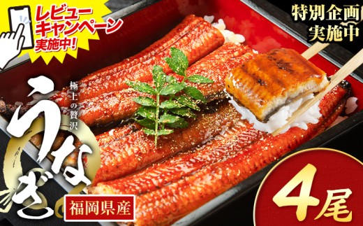 yƎ蒬zr[Ly[{I Ȃ V ƒp  4 (TCYsIʁF1140g-180g) Y V̊Ă ʌ HOMIEs11{-11oׁt Ǝ