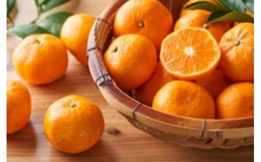 yQlszɏ㉷B݂ v10kg QlsYE56-75y1662930z