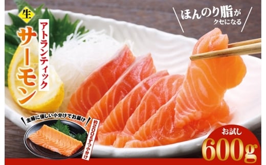 【大阪府泉佐野市】アトランティックサーモン  お試し 600g【生食可 小分け 200g×3P 柵切り 刺身 魚介 海鮮】