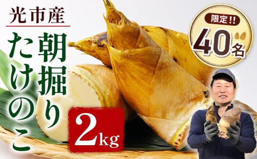 yRszYA01 sY@肽̂ 2kg  [2026N4{4{ɂď\]  RsY ̂  ^PmR Y  { VN ̂肽 ϕ X` ݂