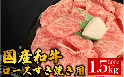 ygsz [X XCX Ă p Iׂ e Ya 500g 1kg 1.5kg   ɂ イ   ֗ J[ Ⴊ Ă Ԃ  u ؂ ē