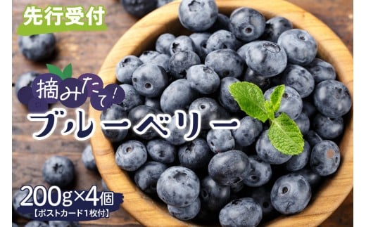 ykC莺zy2026Ns\z kC\莺@̂΂@̐u[x[ƃ|XgJ[h̃Zbg@me029-002-26c