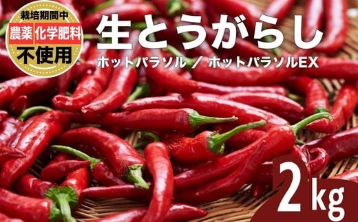 yL|szƂ炵 hq zbgp\EX 2kg ͔|Ԕ_sgp w엿sgp ܕsgp L@엿gp |Y Obh\CO[v