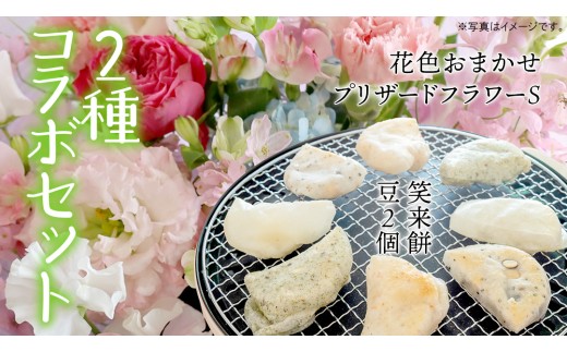 y錧}szy }s ӂ邳Ɣ[Ō R{ z s G߂̂ԃAWgS ts Η 2 Zbgi2j t AWg  Mtg v[g a LO hV 