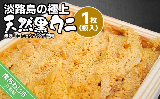 yɌ삠킶sz\tyYE~EosgpE/ʌzWH̋ɏEjIVREjiPjR{ȍ~Jn