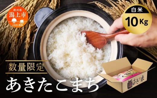 yHcszߘa7NY ܂ 10kg V    HcY     R RXp uh Yn 蕨 v[g   Hc܂ Hc