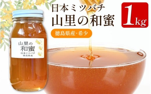 yODsz݂͂ Y {݂΂ I 1kg jz~co` ݂͂ ݂͂ SԂ݂͂ SԖI n a VR nj[ r e N [Og pP[L g[Xg