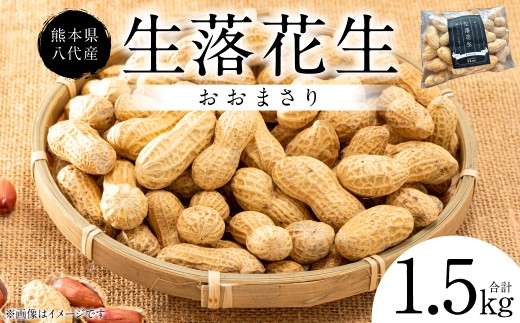 yF{szys\z F{ Y Ԑ [܂] 1.5kg Ԑ bJZC  ܂  Ȃ 䥂 ܂  s[ibc  {  y2026N9{