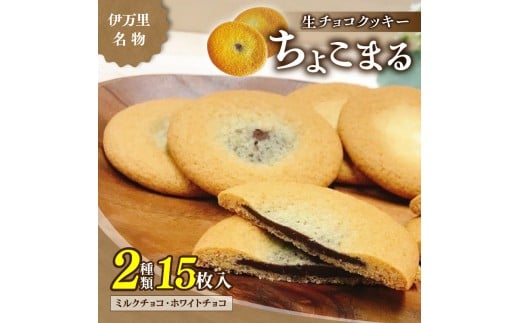 yꌧɖszyɖzɖ傱܂i15j 021-F163