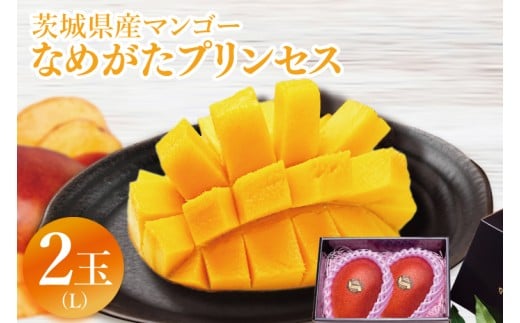 y錧sszy2026N6{菇zʌ聚}S[ Ȃ߂vZX 2(L)b}S[ t[c ʕ  ʌ s\ 錧 ss(EJ-11)