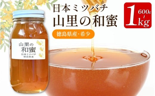 yODsz݂͂ Y {݂΂ I 600g 1kg jz~co` ݂͂ ݂͂ SԂ݂͂ SԖI n a VR nj[ r e N [Og pP[L g[