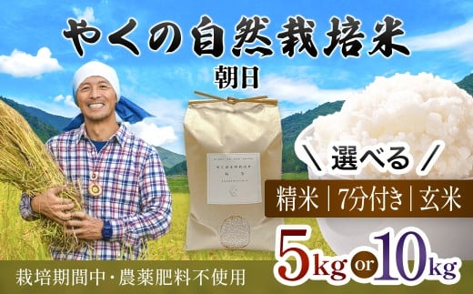 ys{mRszߘa7NY ₭̎R͔|  iIׂ鐸ĕ@EeʁFāE7ÂE / 5kgE10kg j  / R͔| R͔|  R   7Â    