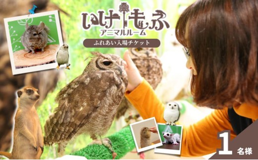 ysLz`Pbg  ӂꂠ`Pbg ̌ ӂ낤 ঒ `` tNK  bg ~[ALbg v[[hbO wr J ʐ^Be ӂꂠ L