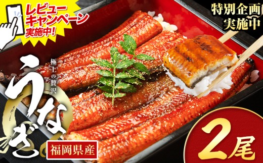 yƎ蒬zr[Ly[{I Ȃ V ƒp  2 (TCYsIʁF1140g-180g) Y V̊Ă ʌ HOMIEs11{-11oׁt Ǝ