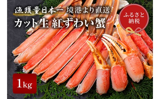 y挧zyIZuzJbgg킢I1kg