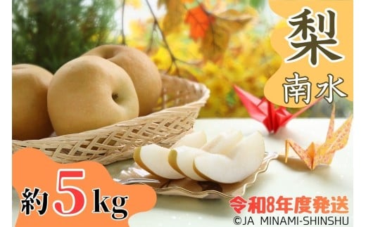 【長野県喬木村】8-J09 梨(南水)【太鼓判・優糖生】約5kg