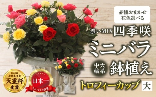 y򕌌{szYn ~jo gtB[Jbvij iZMIXj [11`4 ͂] i ܂ ̂ 󂠂 A lG炫 ~jo  K[fjO Y {