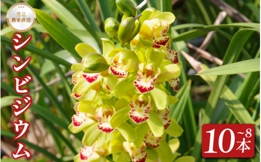 yszVrWE 8`10{    VrW[