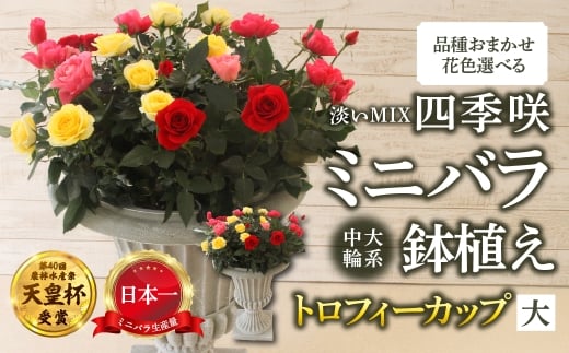 y򕌌{szYn ~jo gtB[Jbvij ӂiWMIXj [11`4 ͂] i ܂ ̂ 󂠂 A lG炫 ~jo  K[fjO Y {