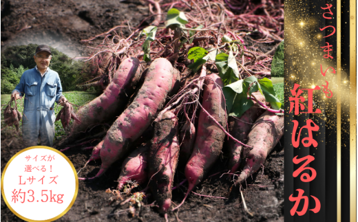 y{錧OJz܂ig͂邩jLTCY 3.5kg